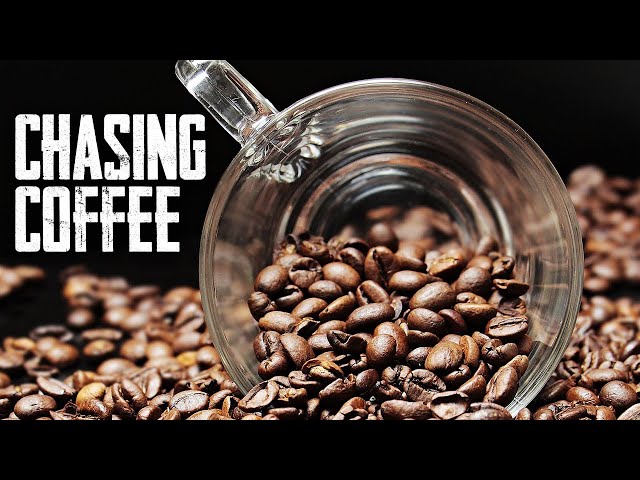 Chasing Coffee: A Global Tour of Beans and Brews